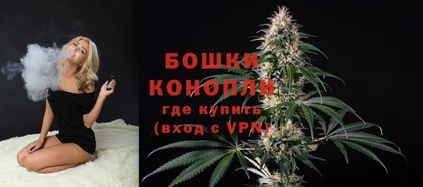 индика Балабаново