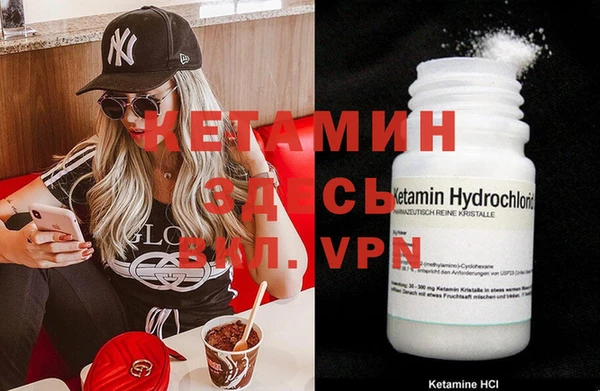 шишки Белокуриха