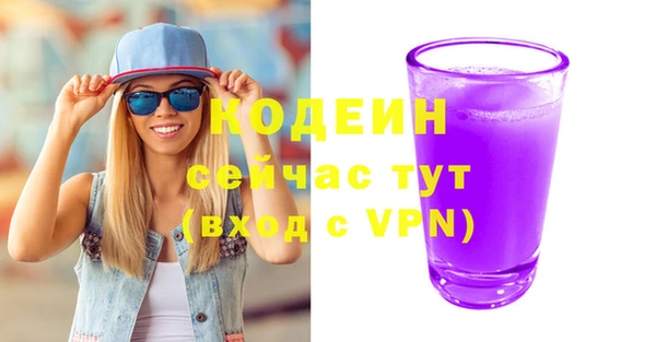 шишки Белокуриха