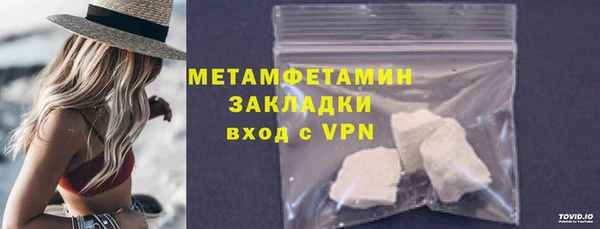 шишки Белокуриха