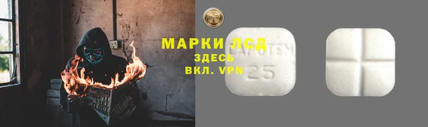 индика Балабаново