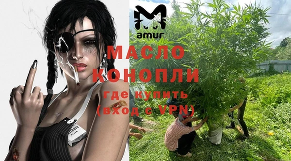 индика Балабаново