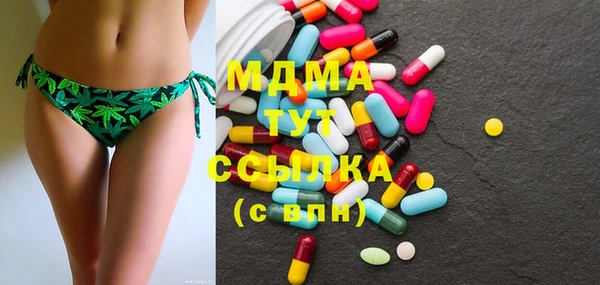 шишки Белокуриха