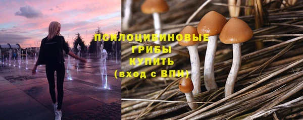шишки Белокуриха