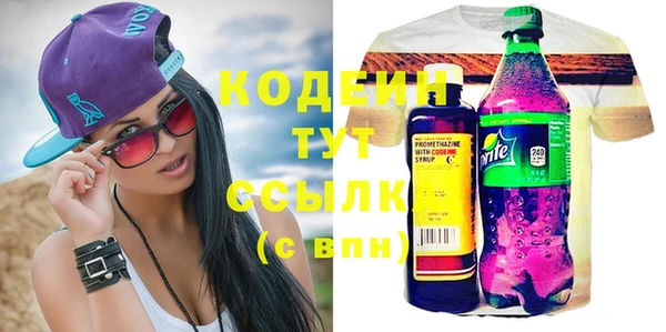 шишки Белокуриха