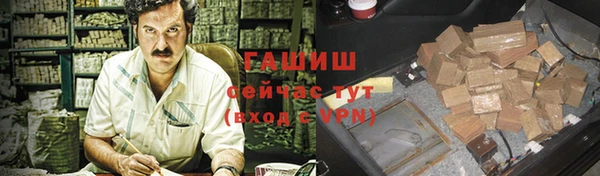шишки Белокуриха