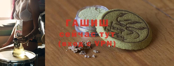 шишки Белокуриха