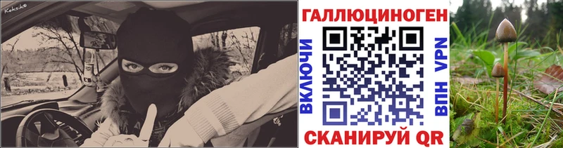 Галлюциногенные грибы мицелий  Черногорск 